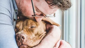 veterinary care for dying pets
